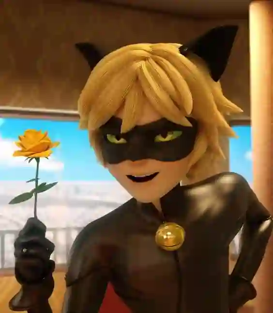 cat noir miraculous wallpapers