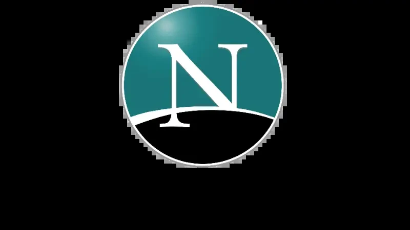 The Netscape Navigator 
