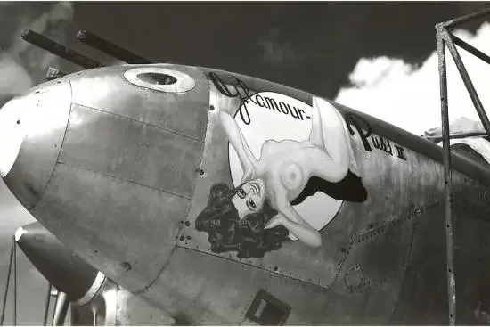 The Nose Art