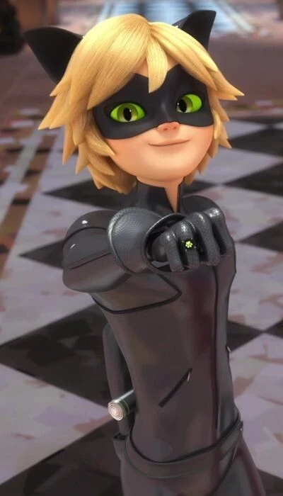 Cat Noir Miraculous Ladybug Portrait