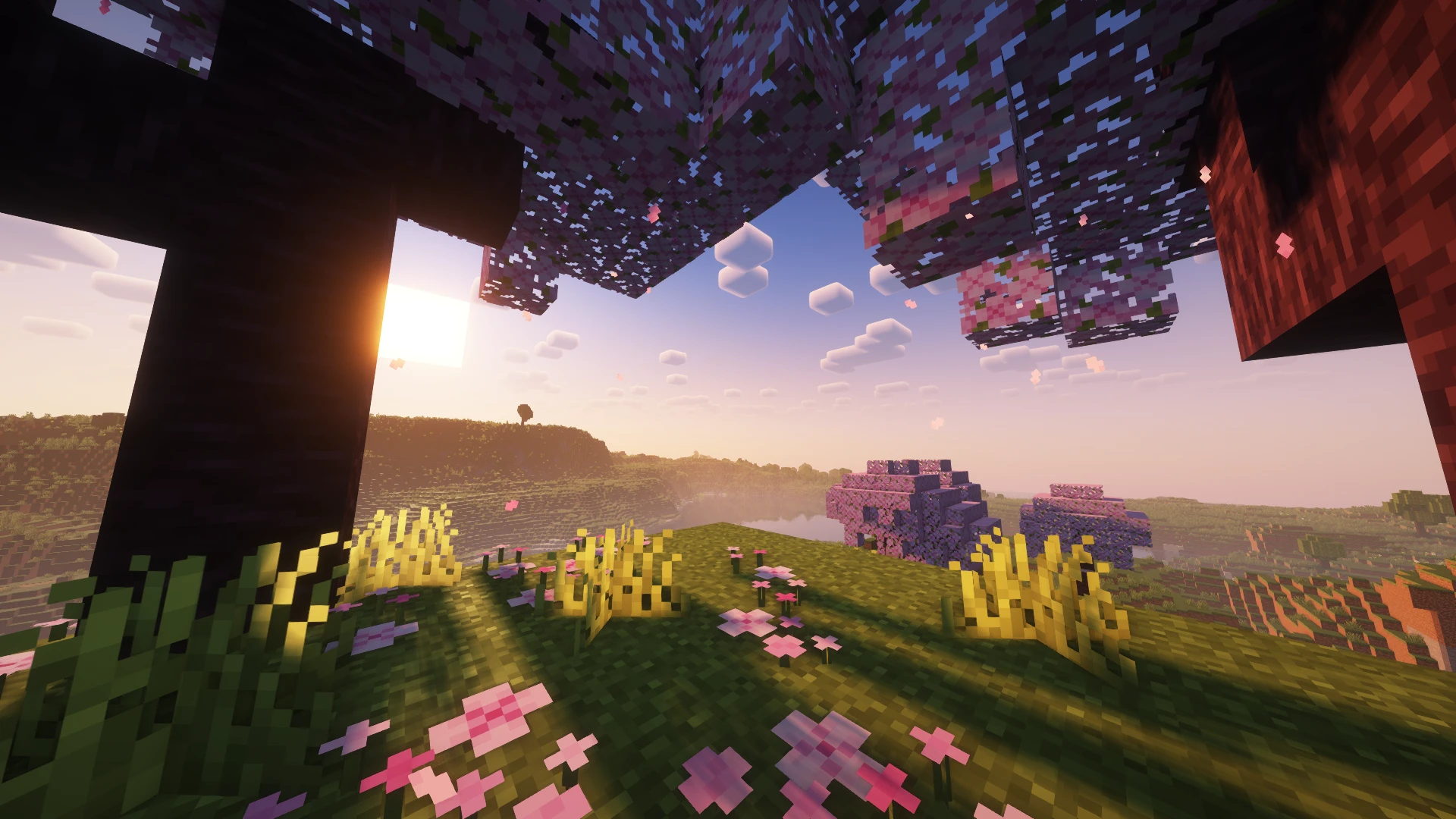 Minecraft Pink Flower Field