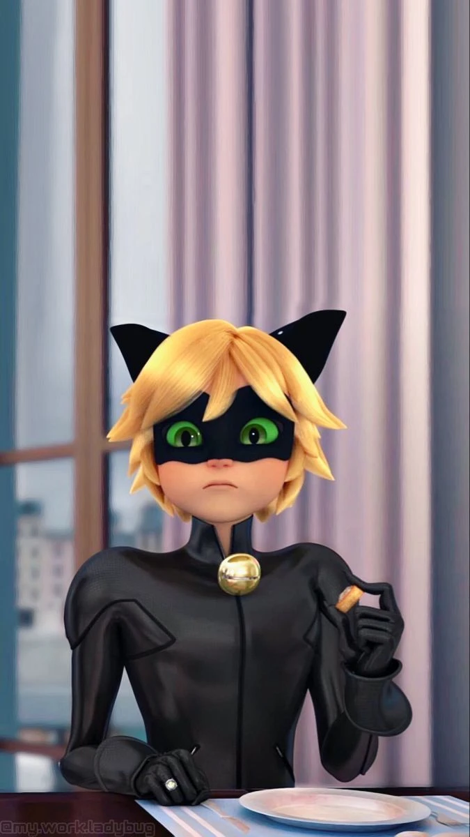 Chat Noir Miraculous Ladybug Wallpaper