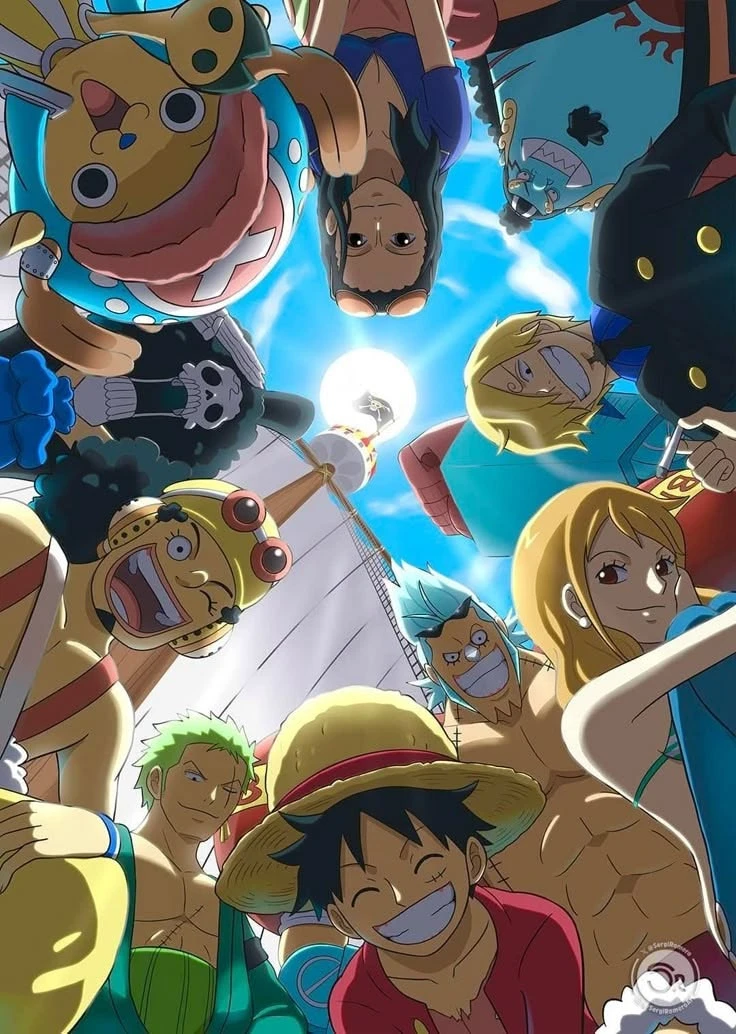 One Piece Straw Hat Crew squad