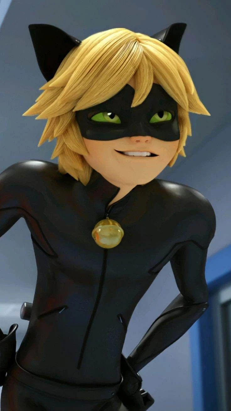 Chat Noir Miraculous Portrait