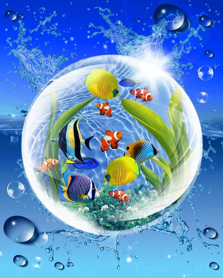 Vibrant Tropical Fish aquacore