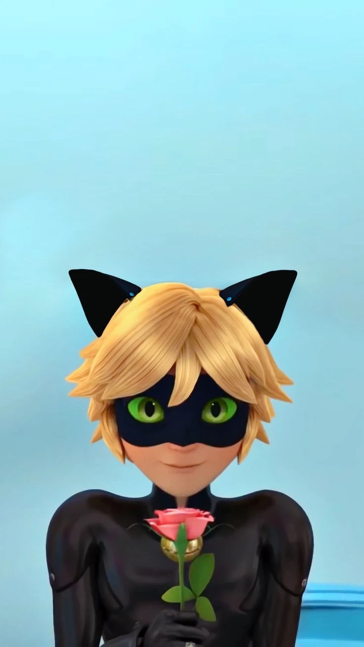 Cat Noir Rose Wallpaper