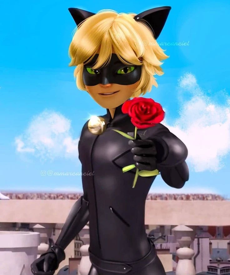 Miraculous Cat Noir Rose Offer