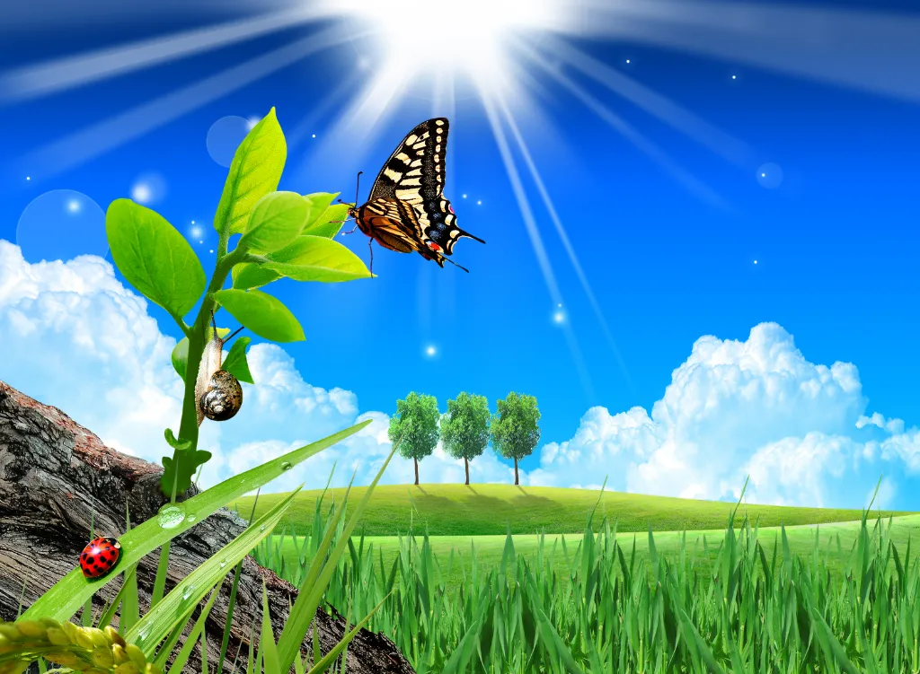 Sunny Nature Frutiger Aero wallpapers
