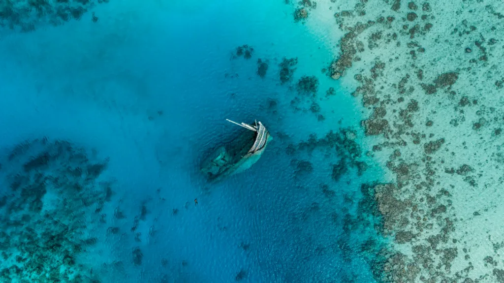 Ocean Shipwreck Coral Reef