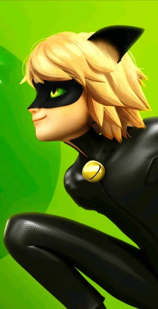 Cat Noir Miraculous Portrait